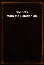 Sonnets from the Patagonian