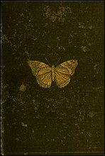 Butterflies and Moths (British)