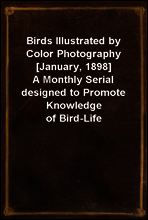 Birds Illustrated by Color Photography [January, 1898]
A Monthly Serial designed to Promote Knowledge of Bird-Life