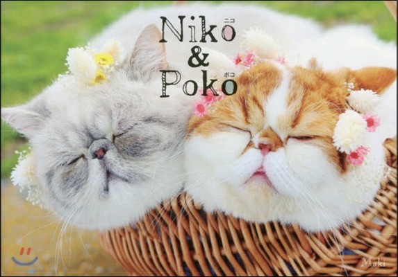 Niko&Poko