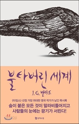 불타버린 세계