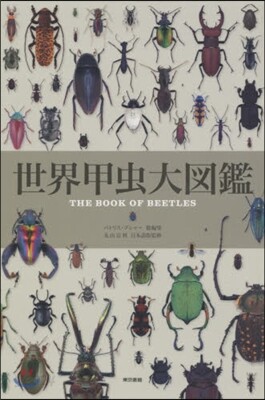 世界甲蟲大圖鑑