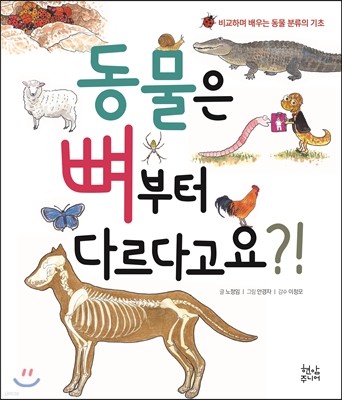 동물은 뼈부터 다르다고요?!