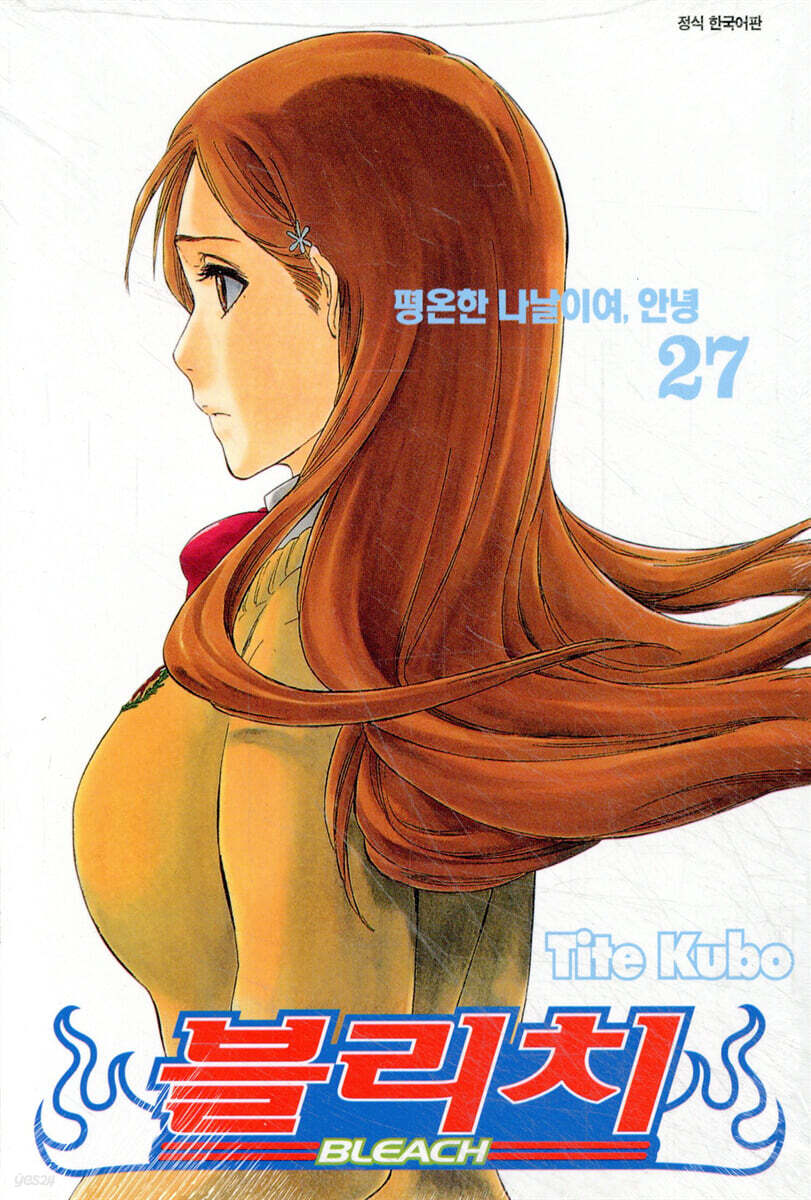 블리치 BLEACH 27