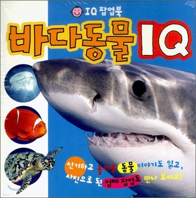 바다동물 IQ
