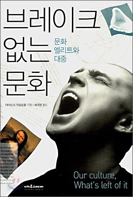 브레이크 없는 문화