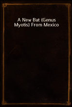 A New Bat (Genus Myotis) From Mexico