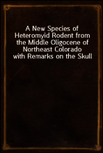 A New Species of Heteromyid Rodent from the Middle Oligocene of Northeast Colorado with Remarks on the Skull