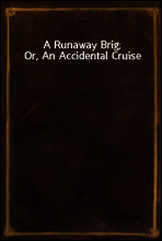 A Runaway Brig; Or, An Accidental Cruise