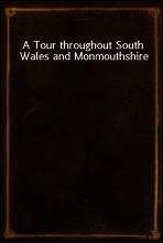 A Tour throughout South Wales and Monmouthshire