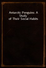 Antarctic Penguins
