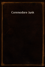 Commodore Junk
