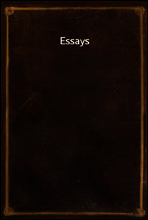 Essays