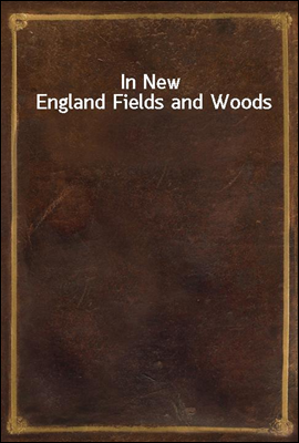 In New England Fields and Woods
