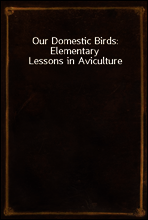 Our Domestic Birds