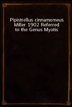 Pipistrellus cinnamomeus Miller 1902 Referred to the Genus Myotis