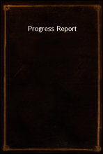 Progress Report