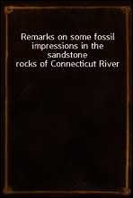 Remarks on some fossil impressions in the sandstone rocks of Connecticut River