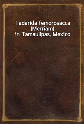 Tadarida femorosacca (Merriam) in Tamaulipas, Mexico