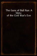 The Guns of Bull Run