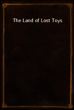 The Land of Lost Toys