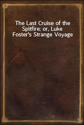 The Last Cruise of the Spitfire; or, Luke Foster`s Strange Voyage