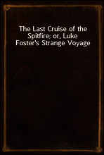 The Last Cruise of the Spitfire; or, Luke Foster`s Strange Voyage