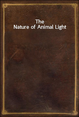 The Nature of Animal Light