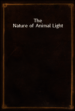 The Nature of Animal Light