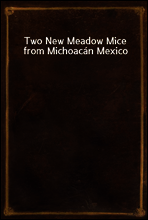 Two New Meadow Mice from Michoacan Mexico