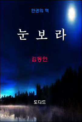 한국문학전집240: 눈보라
