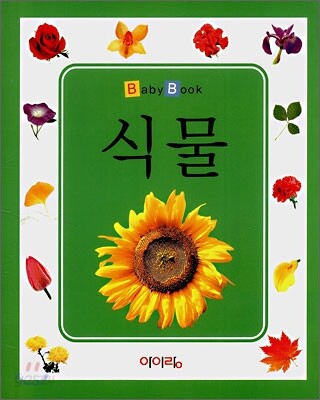 식물