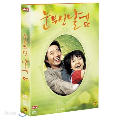 눈부신날에SE