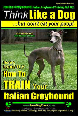 Italian Greyhound, Italian Greyhound Training AAA Akc: Think Like a Dog But Don't Eat Your Poop! Italian Greyhound Breed Expert Training: Here's Exact
