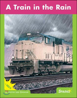 A Train in the Rain