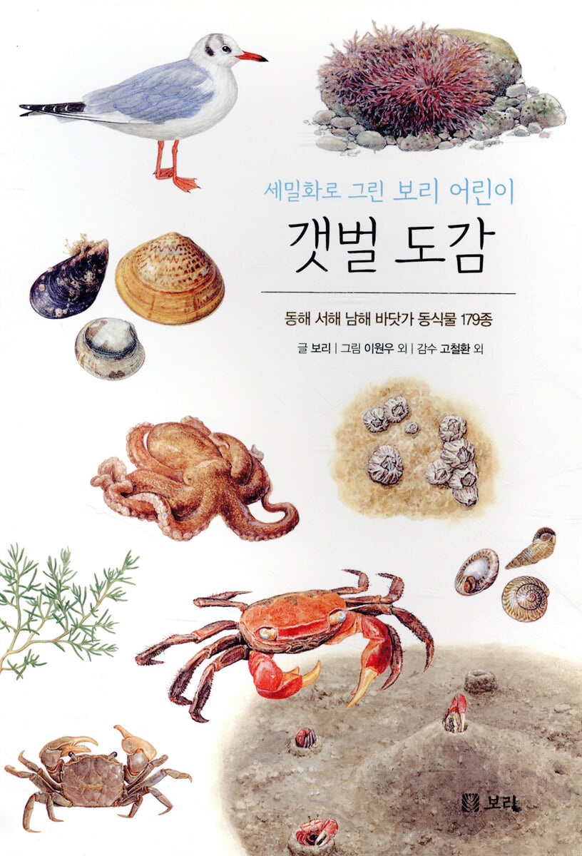 갯벌 도감 : 세밀화로 그린 보리 어린이 도감