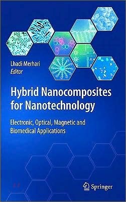 Hybrid Nanocomposites for Nanotechnology: Electronic, Optical, Magnetic and Biomedical Applications