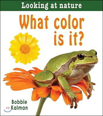 What Color Is It?