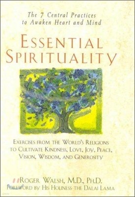 Essential Spirituality: The 7 Central Practices to Awaken Heart and Mind