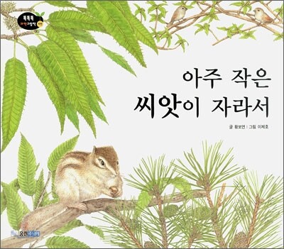 아주 작은 씨앗이 자라서