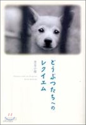 どうぶつたちへのレクイエム