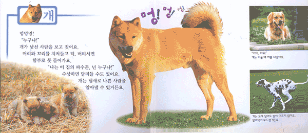 소리나는 동물 그림책