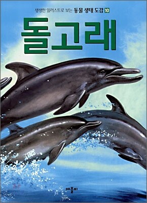 돌고래