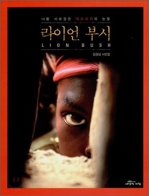 라이언 부시