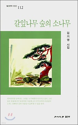 갈잎나무 숲의 소나무