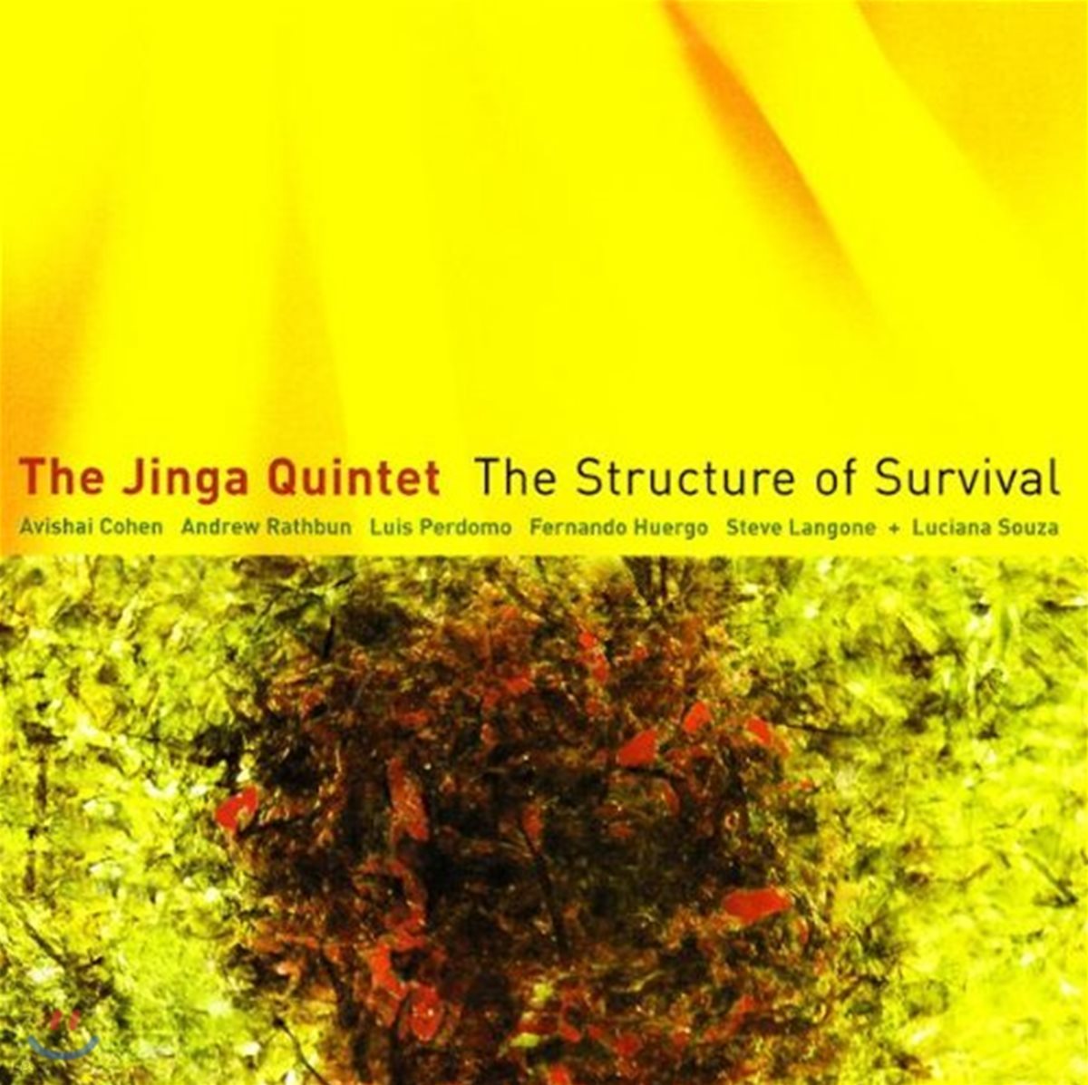 The Jinga Quintet & Avishai Cohen - The Structure of Survival