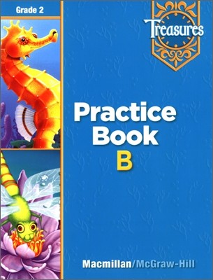 Treasures Grade 2 : Beyond Practice Book