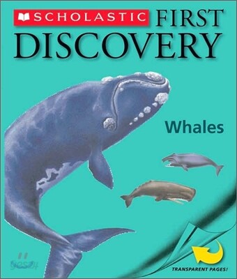 Whales