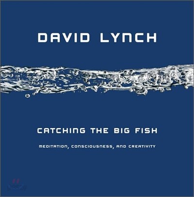 Catching the Big Fish: Meditation, Consciousness, and Creativity