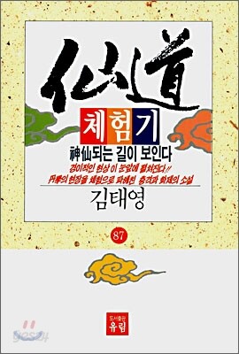 선도체험기 87